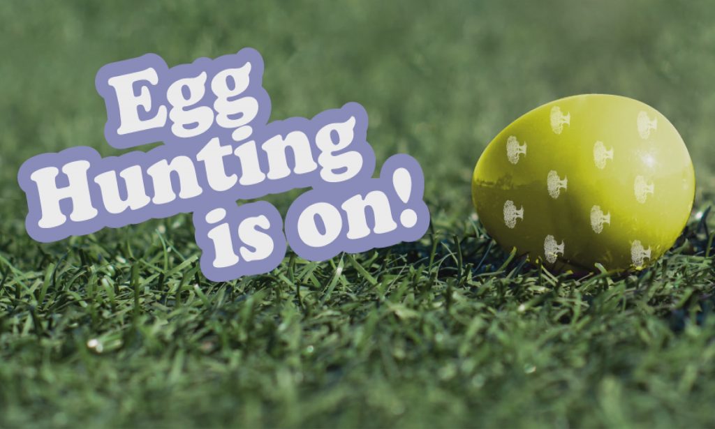 EGG HUNT GAME IS ON