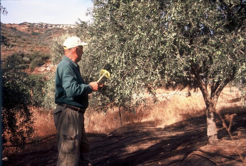 New Harvest Stories | Episode 1