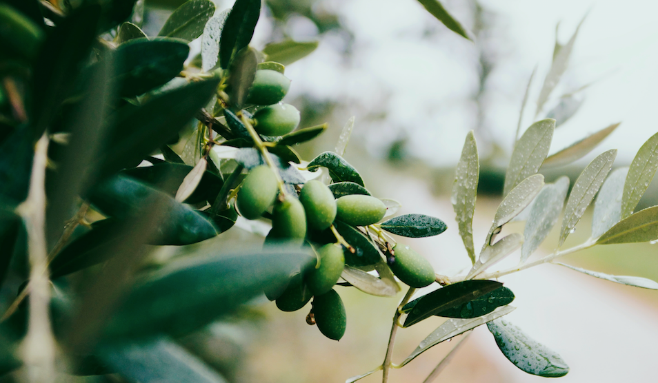 World Water Day 2022 – Ancient ground water